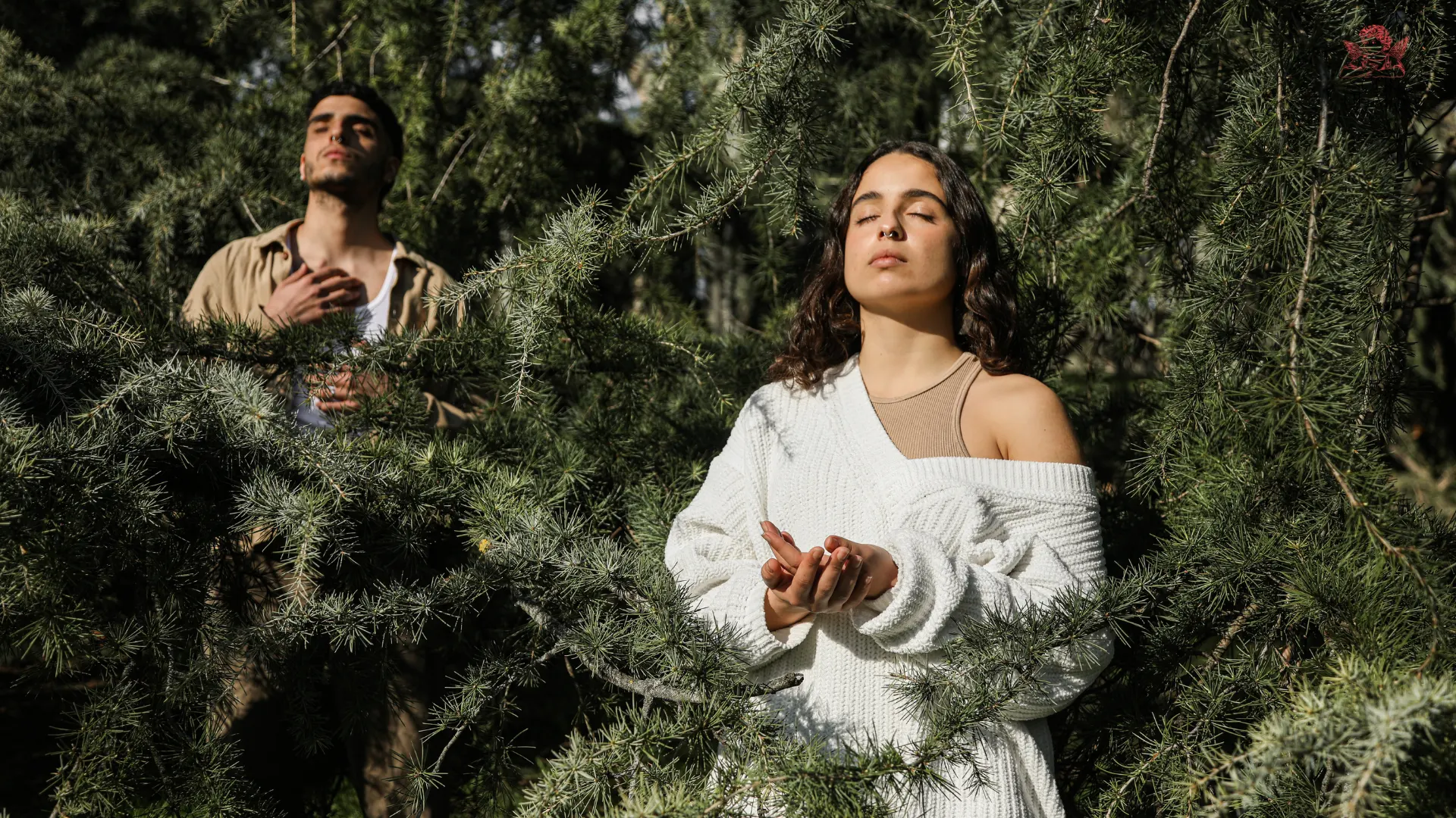 Using breathwork to release trauma from the body